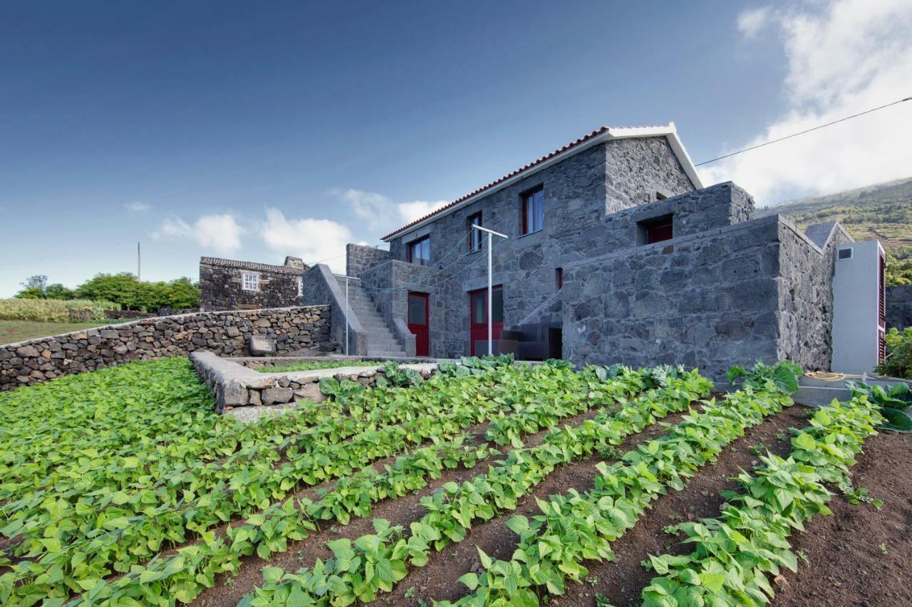Melo'S Place Madalena (Azores) Exterior foto